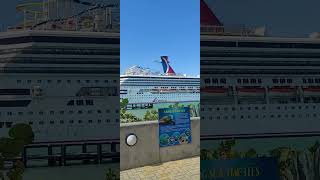 Flori on the go....💃 ❤️ 🌷 ⛱️ 🛳 🌇 #youtubeshorts #travel #trending #viral #cruise #ytshorts #fun
