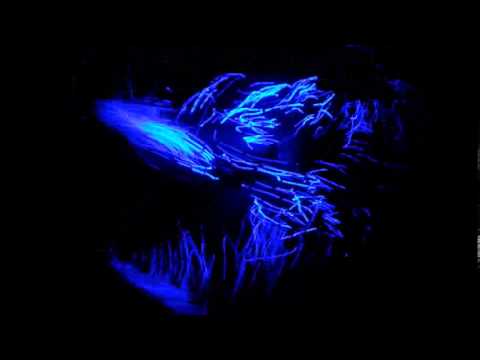 Basszad Neki Coronita New Year's Eve Party By House Heaven