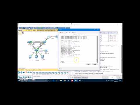 CCNA 2 Packet Tracer 8.3.1.2