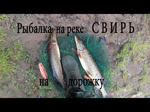 Категории статей Из чего состоит снасть дорожка?