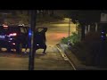 14 Year Old Killed In Attempted Car Theft 5 Others Arrested After High Speed Chase