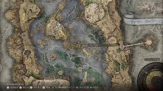 【ビーキョウの戯れ】エルデンのんびり