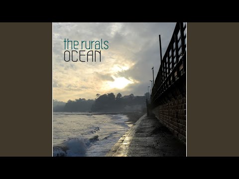 Gratitude Feat. Ladybird