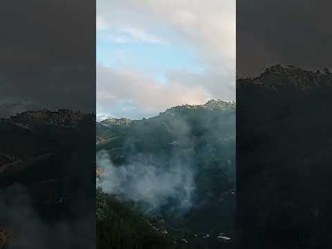 palestina Huila Colombia 🇨🇴