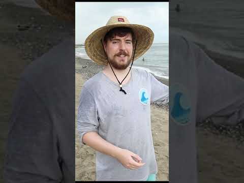 Help Us Save The Ocean