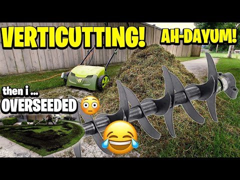 Verticutting lawn Video turned into Summer Overseeding too THE CRAZINESS CONTINUES Sunjoe Dethatcher