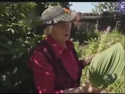 Где Купить Книги Суриной Лидии Нестеровны