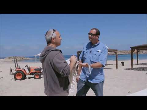 Tekhelet is Always Beautiful - Dr. Baruch Sterman