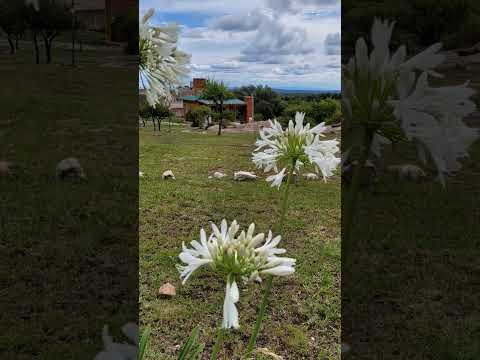 vacaciones mina clavero cordoba Consultas 11 5 105 4226