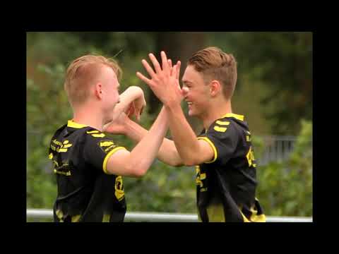 C.V.V. Redichem JO19-3 - RKSV Driel JO19-2 (11-1)