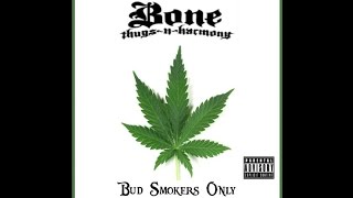 Krayzie Bone - Smoke &amp; Burn feat. Up In Clouds (Bud Smokers only)