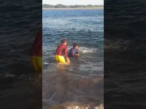 soy pezlagarto #enpez #playita #laspuntillas #humor #shorts