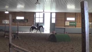 preview picture of video 'Top Brass Farm--Tira Paradise, 13 year old KWPN mare'