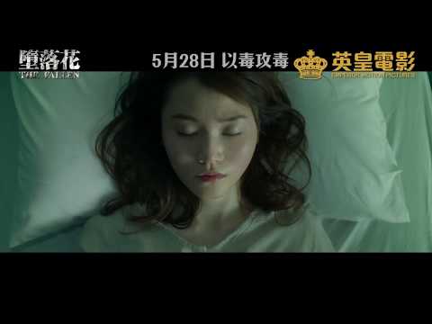 《墮落花》預告片：官方預告