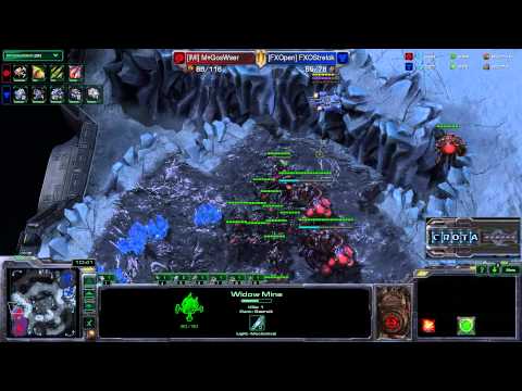 GosWser (Z) vs Strelok (T) - G1 - StarCraft 2 - HOTS114
