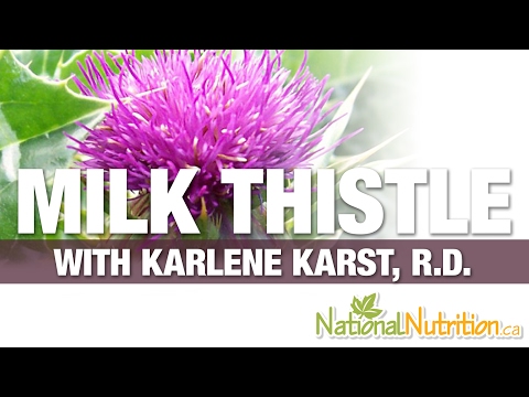 Milk Thistle