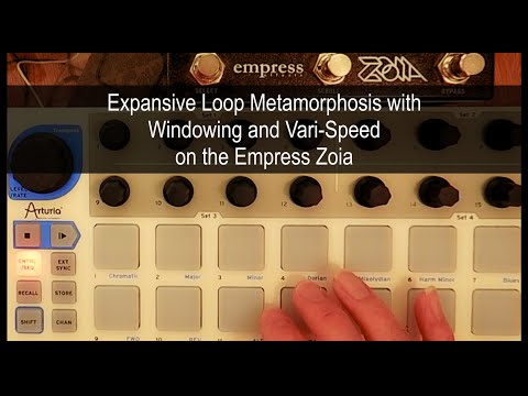 Expansive Loop Metamorphosis with Windowing and Vari-Speed on the Empress Zoia
