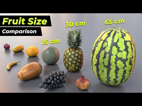 Fruit Size Comparison 3D | Smallest to Biggest Fruits | Fruits Video