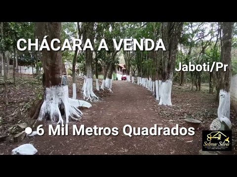 CHÁCARA 6 MIL METROS MINA D'GUA CASA GRANDE LUGAR TRANQUILO EM JABOTI PARANA R$ 680.000,00