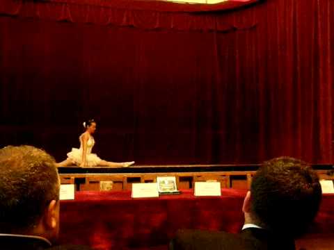 Colegiul National Al. Papiu Ilarian  Tirgu Mures 2009 - Adela Teodora Tamba - balet