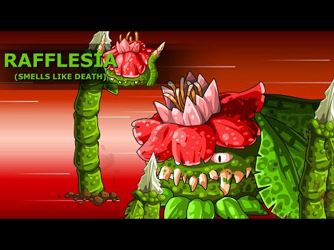 Epic Battle Fantasy 4 Ultrawide Intro