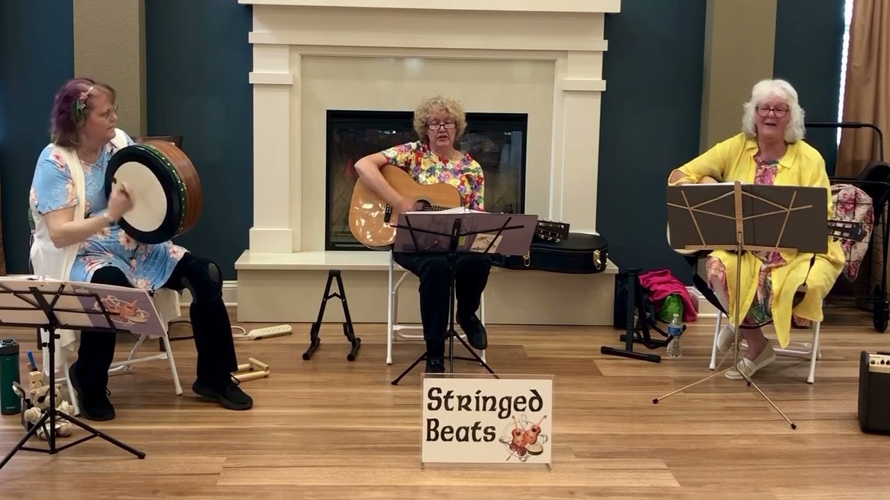 Promotional video thumbnail 2 for Stringed Beats