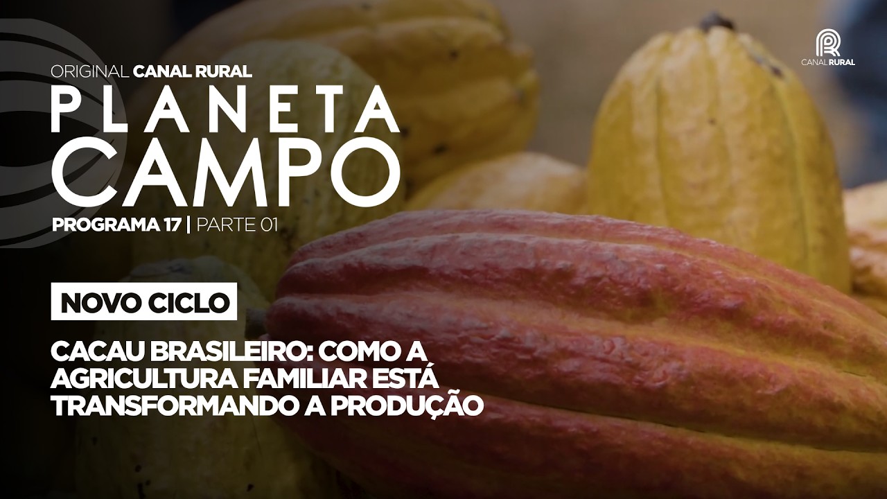 Cacau brasileiro: agricultura familiar está transformando a produção | Planeta Campo - Ep. 17/1