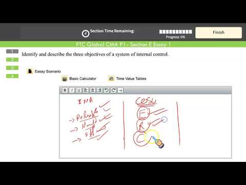 CMA Part 1 Extensive Review Section E Essay 1