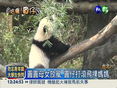 圓圓.圓仔放風 母女互動萌翻了!