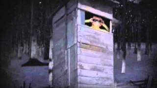 Belasco : Chloroform