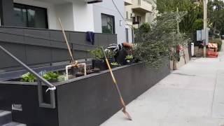 What to Do When the Plants Aren't Available