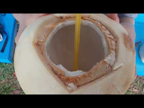 [치앙라이 석 달 살기] #2 뽕프라밧 온천/Pong Phra Bat Fonte termal