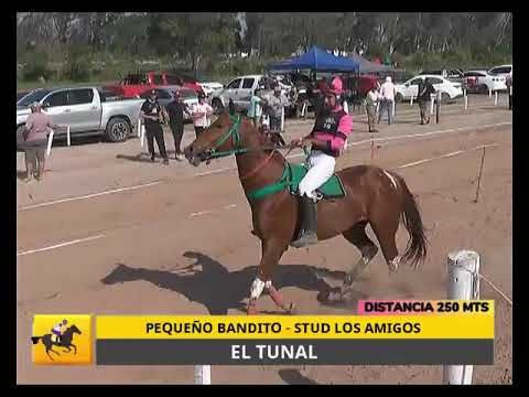 02 Pequeño Bandido   Chuky   Susay