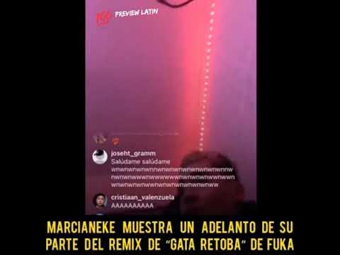Gata Retoba Remix Marcianeke 👽🛸 Fuka 🔥💯 Adelanto 💯 #previewlatin