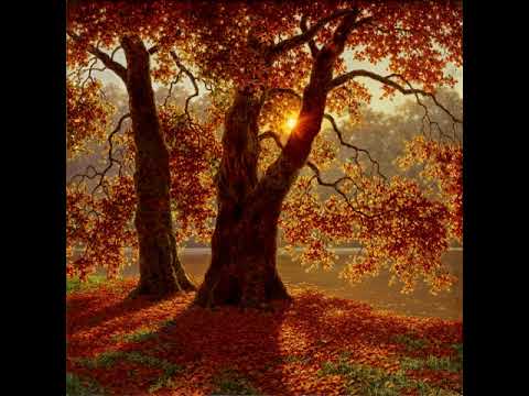 W  A  Mozart – “Ecco il punto, o Vitellia    Non più di fiori”, La clemenza di Tito, K  621, Act II