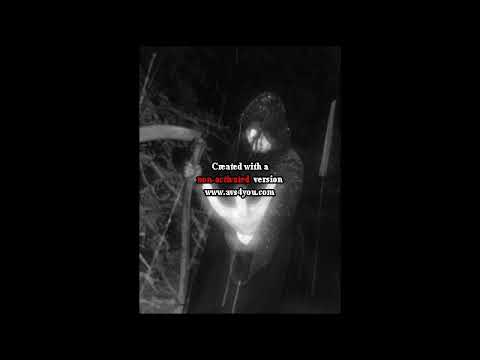 Brood in Black (US) - Second Arrival of Death (Demo) 2018