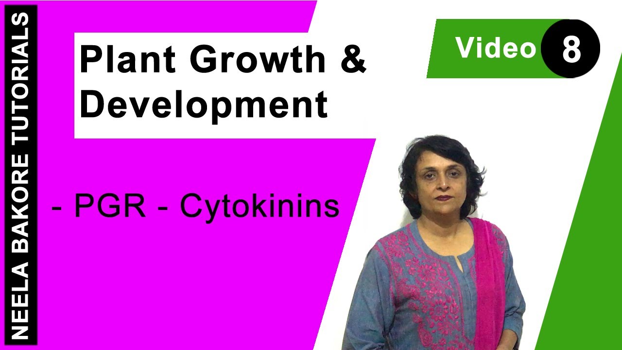 Plant Growth & Development | NEET | PGR - Cytokinins | Neela Bakore Tutorials
