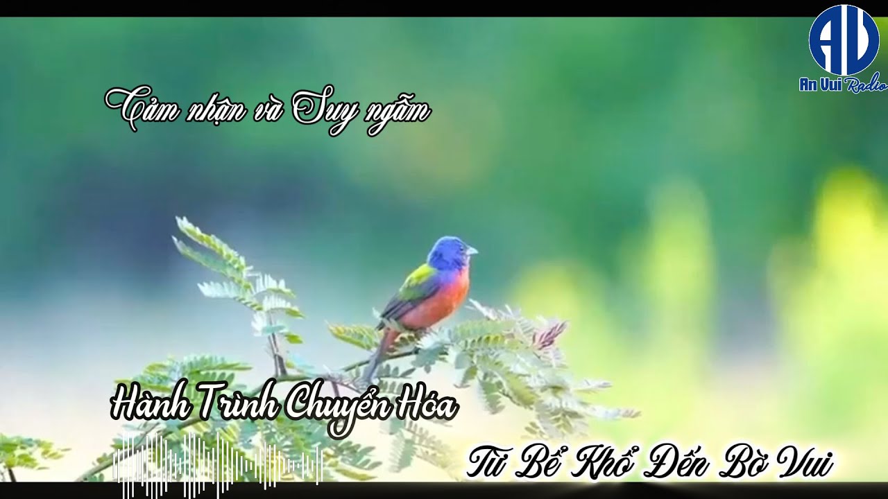 Hành Trình Chuyển Hóa - Từ Bể Khổ Đến Bến Bờ An Vui