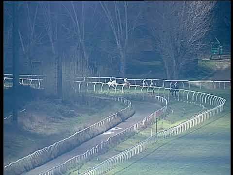 Galoppo 26/01/2019 - 7ª corsa