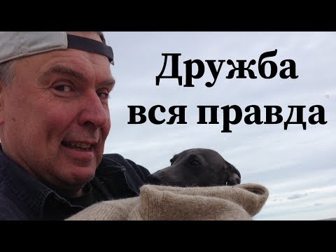 Что такое НАСТОЯЩАЯ ДРУЖБА и как найти СВОИХ ДРУЗЕЙ? ПРИМЕТЫ.