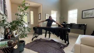 Video thumbnail for Majestic 4.3-Octave Padauk Marimba - Setup by Alex Stopa