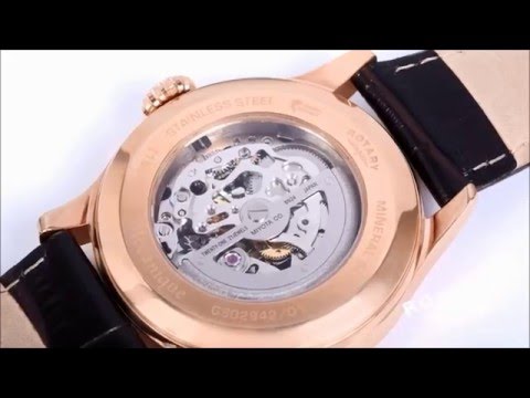 download lagu mp3 mp4 Rotary Dolphin, download lagu Rotary Dolphin gratis, unduh video klip Rotary Dolphin