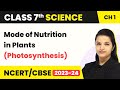 Class 7 Science Chapter 1 Mode Of Nutrition In Plants Photosynthesis Nutrition In Plants