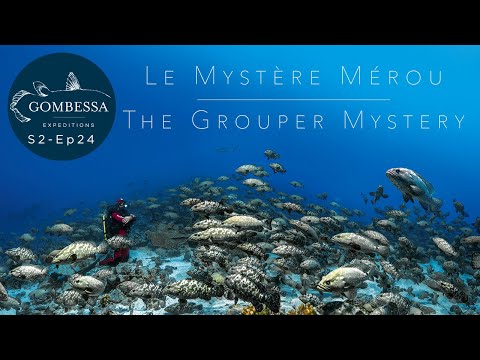 Gombessa II - Mystère Mérou - Ep24