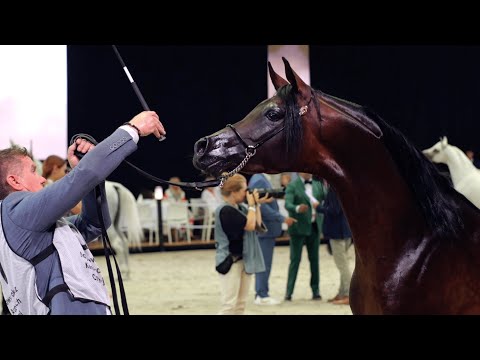 POLISH NATIONAL CHAMPIONSHIP 2023 - The Aftermovie