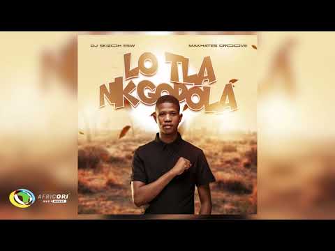 Dj Skizoh BW & Makhates Groove - Lo tlo nkgopola (Audio)