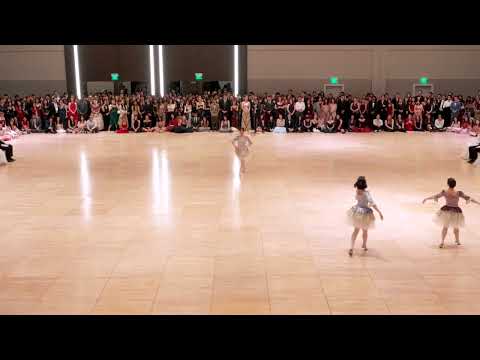 Stanford Viennese Ball 2024 – Cardinal Ballet Company