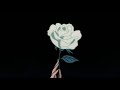 Arash Ft Helena Broken Angel Slowed Reverb