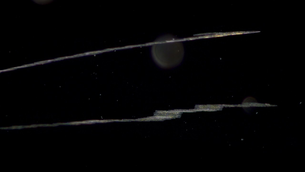 Planktonium Trailer