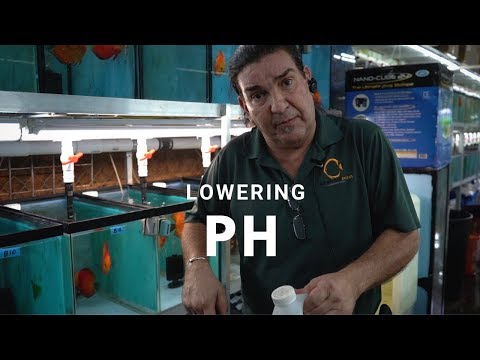 HOW TO: lower PH in your Tropical Fish Tank